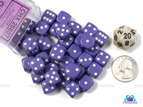 Opaque Purple & White | 12mm D6 Block | Chessex Dice (36) | Wargaming
